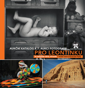 7. aukce fotografií pro Leontinku