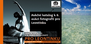 Katalog 6. aukce fotografií pro Leontinku